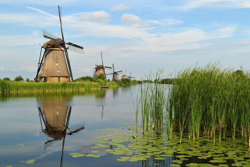 Windmills at Kinderdijk reflected in a still canal, with tall reeds and water lilies in the foreground under a blue sky.