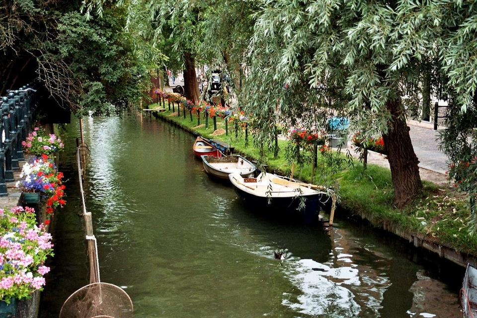 Kleine Ruderboote an einer stillen Gracht in Monnickendam, gesäumt von Blumen und Weiden.