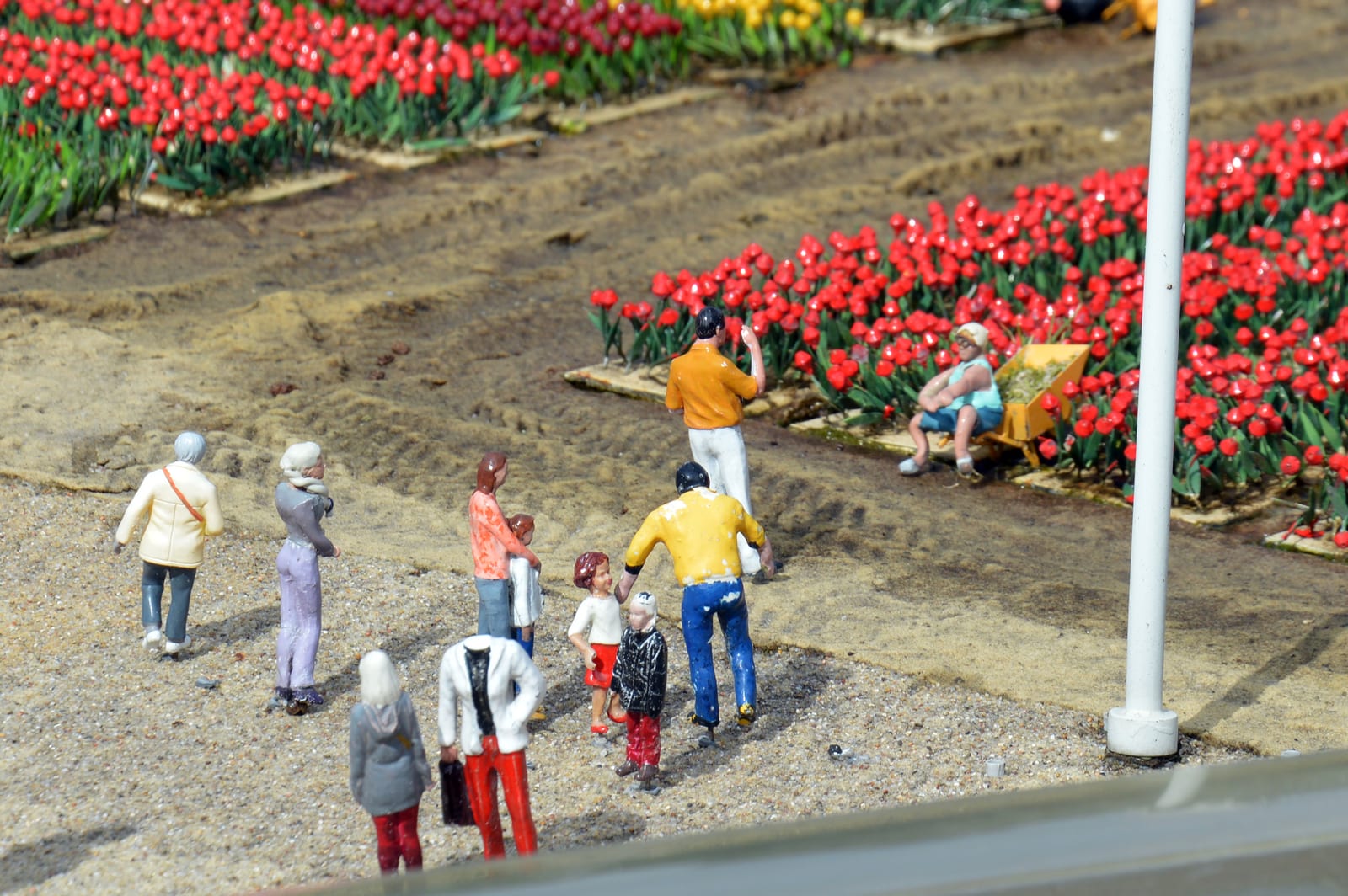 Kleine geschilderde figuurtjes tussen miniatuurvelden met rode tulpen, één met een kruiwagen vol bollen.